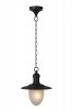 LAMPA ZEWNĘTRZNA OGRODOWA WISZĄCA ARUBA 11872/01/30 LUCIDE 